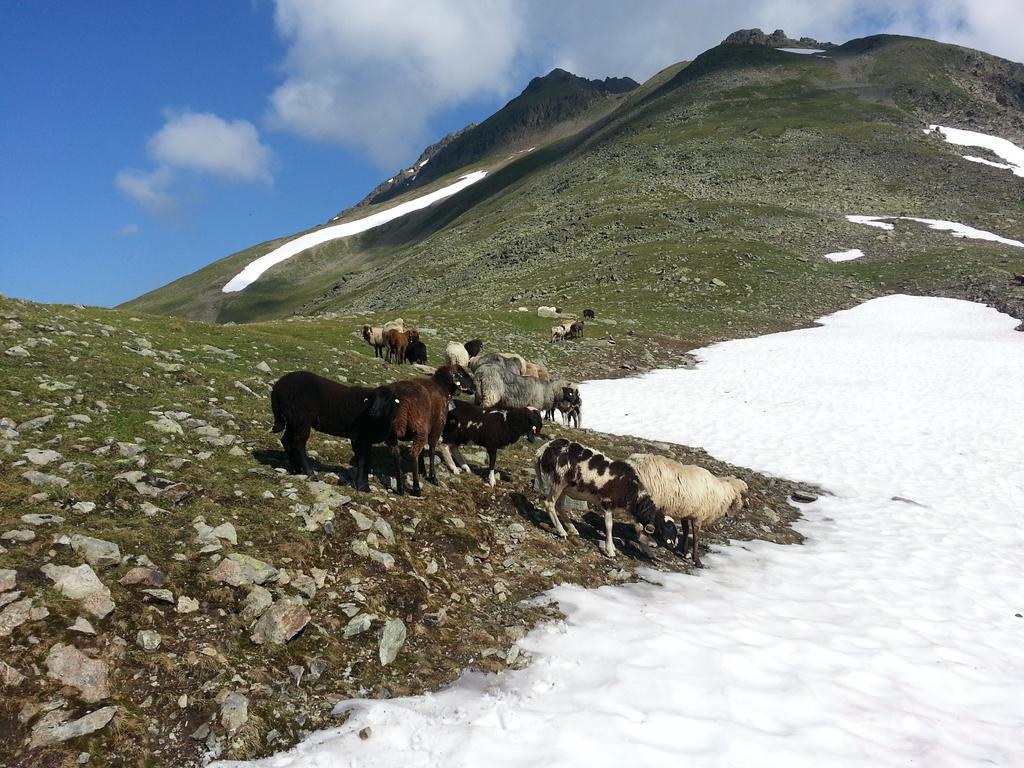 Ferienhaus Eiter Sankt Leonhard im Pitztal Esterno foto