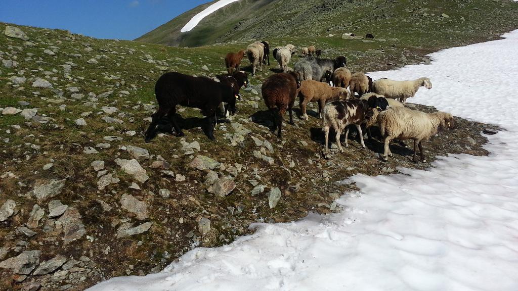 Ferienhaus Eiter Sankt Leonhard im Pitztal Esterno foto